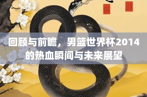 回顾与前瞻，男篮世界杯2014的热血瞬间与未来展望