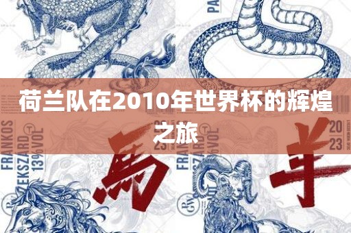 荷兰队在2010年世界杯的辉煌之旅