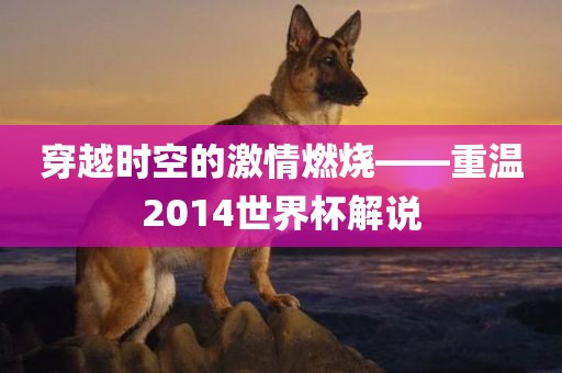 穿越时空的激情燃烧——重温2014世界杯解说江门市永晋源无纺布有限公司