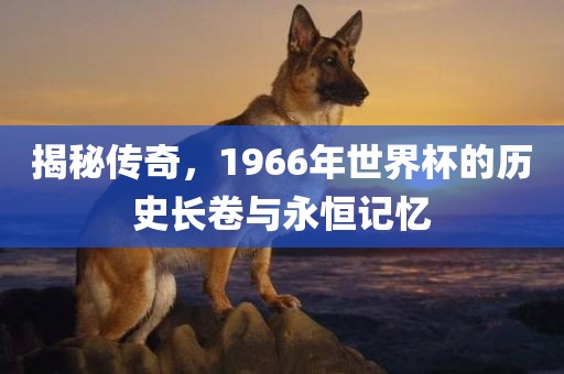 linhuijia 第7页