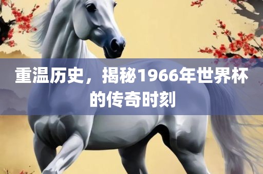 重温历史，揭秘1966年世界杯的传奇时刻江门市永晋源无纺布有限公司