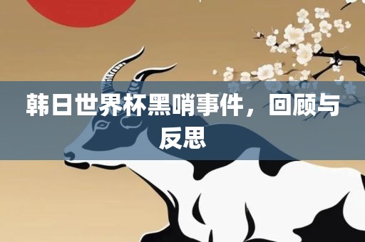 韩日世界杯黑哨事件，回顾与反思江门市永晋源无纺布有限公司