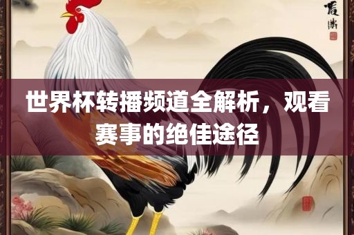 世界杯转播频道全解析，观看赛事的绝佳途径江门市永晋源无纺布有限公司