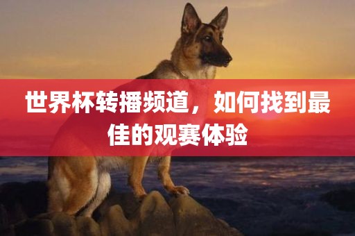 世界杯转播频道，如何找到最佳的观赛体验
