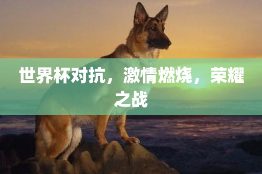 世界杯对抗，激情燃烧，荣耀之战