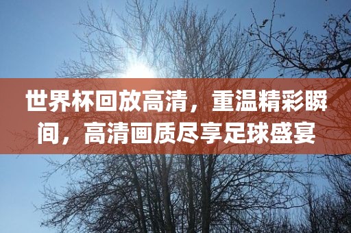世界杯回放高清，重温精彩瞬间，高清画质尽享足球盛宴