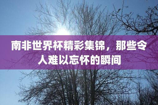 南非世界杯精彩集锦，那些令人难以忘怀的瞬间江门市永晋源无纺布有限公司