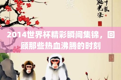 2014世界杯精彩瞬间集锦，回顾那些热血沸腾的时刻