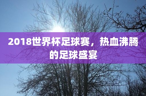 2018世界杯足球赛，热血沸腾的足球盛宴江门市永晋源无纺布有限公司