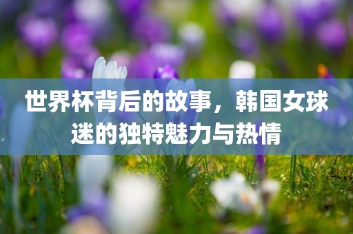 韩国女球迷魅力与热情