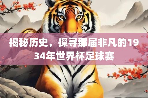 揭秘历史，探寻那届非凡的1934年世界杯足球赛江门市永晋源无纺布有限公司