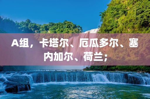 A组，卡塔尔、厄瓜多尔、塞内加尔、荷兰；