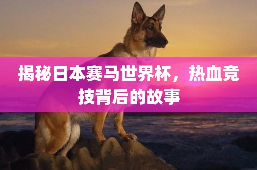 揭秘日本赛马世界杯，热血竞技背后的故事江门市永晋源无纺布有限公司