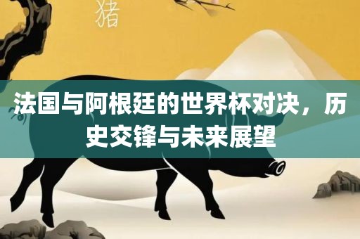 法国与阿根廷的世界杯对决，历史交锋与未来展望江门市永晋源无纺布有限公司