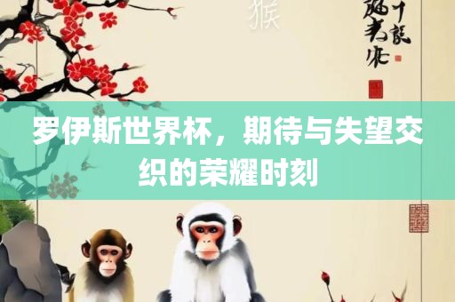 罗伊斯世界杯，期待与失望交织的荣耀时刻
