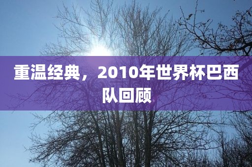 重温经典，2010年世界杯巴西队回顾