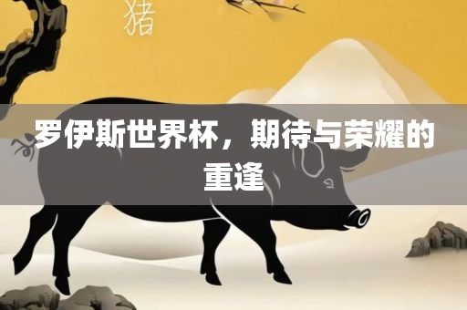 罗伊斯世界杯，期待与荣耀的重逢