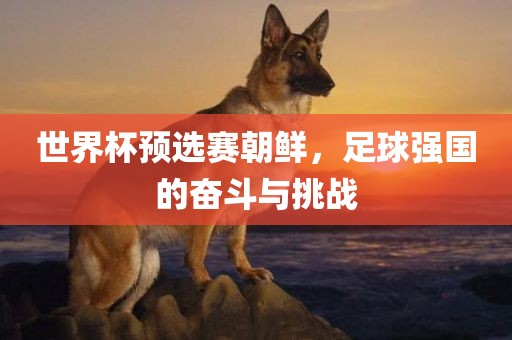 世界杯预选赛朝鲜，足球强国的奋斗与挑战江门市永晋源无纺布有限公司