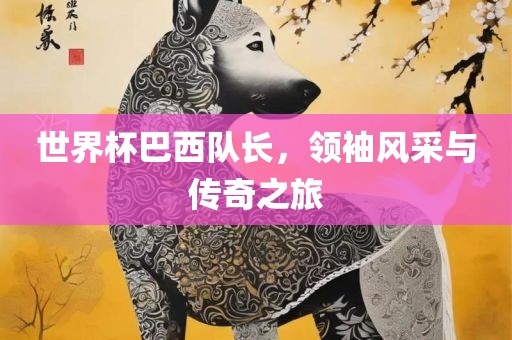 世界杯巴西队长，领袖风采与传奇之旅江门市永晋源无纺布有限公司
