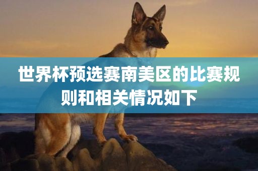 世界杯预选赛南美区的比赛规则和相关情况如下