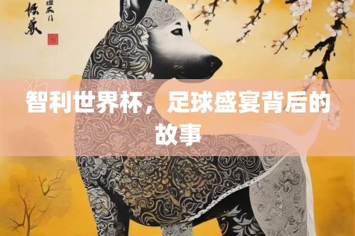 智利世界杯，足球盛宴背后的故事