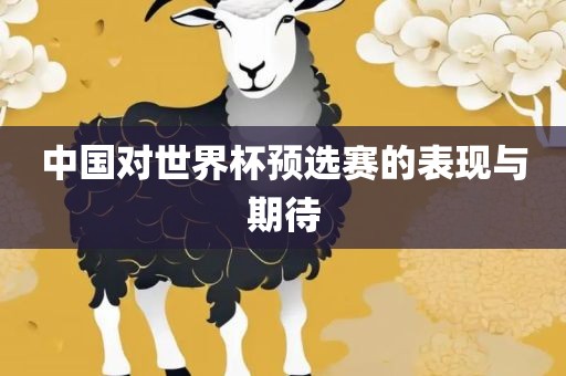 中国对世界杯江门市永晋源无纺布有限公司预选赛的表现与期待