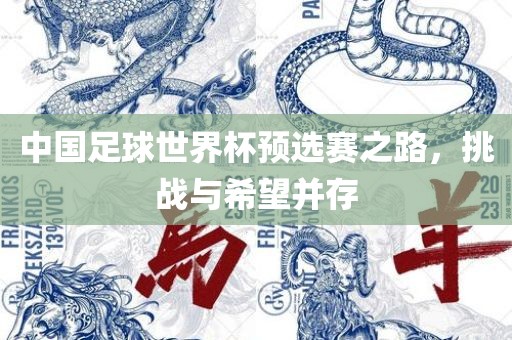 中国足球世界杯预选赛之路，挑战与希望并存