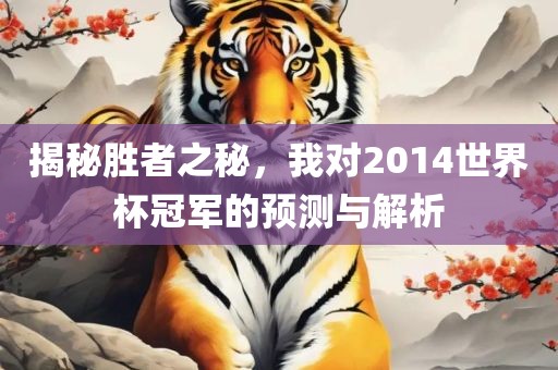 揭秘胜者之秘，我对2014世界杯冠军的预测与解析