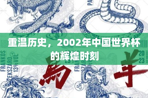 重温历史，2002年中国世界杯的辉煌时刻