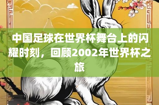 中国足球在世界杯舞台上的闪耀时刻，回顾2002年世界杯之旅江门市永晋源无纺布有限公司