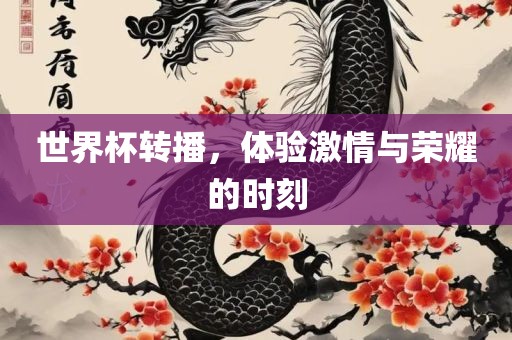 世界杯转播，体验激情与荣耀的时刻江门市永晋源无纺布有限公司