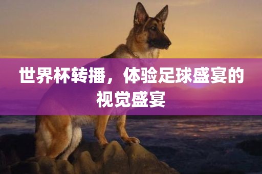 世界杯转播