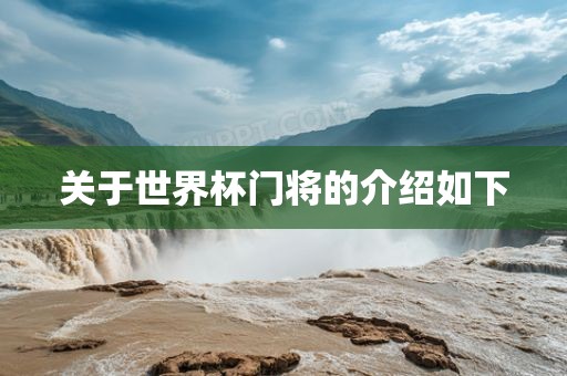 关于世界杯门将的介绍如下江门市永晋源无纺布有限公司