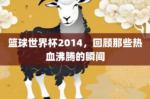 篮球世界杯2014，回顾那些热血沸腾的瞬间江门市永晋源无纺布有限公司