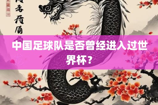 中国足球队是否曾经进入过世界杯？江门市永晋源无纺布有限公司