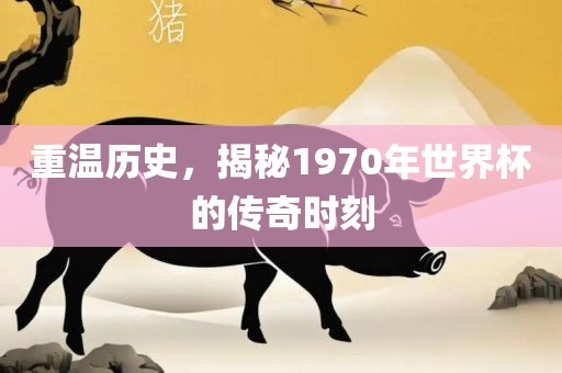 重温历史，揭秘1970年世界杯的传奇时刻