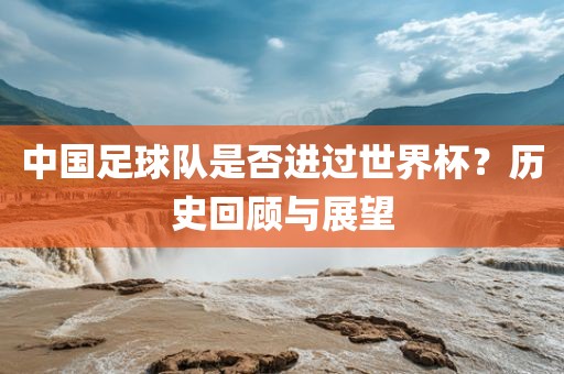 中国足球队是否进过世界杯？历史回顾与展望