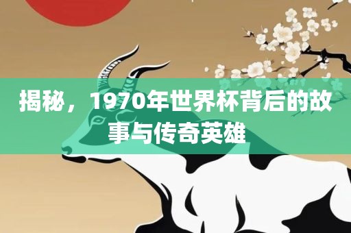 揭秘，1970年世界杯背后的故事与传奇英雄