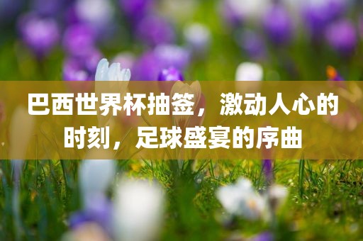 巴西世界杯抽签，激动人心的时刻，足球盛宴江门市永晋源无纺布有限公司的序曲