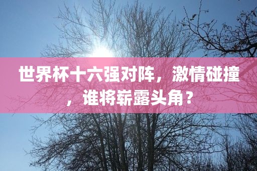 世界杯十六强对阵，激情碰撞，谁将崭露头角？江门市永晋源无纺布有限公司