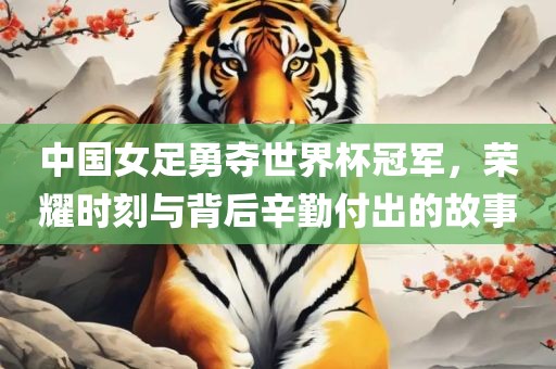 中国女足勇夺世界杯冠军，荣耀时刻与背后辛勤付出的故事江门市永晋源无纺布有限公司