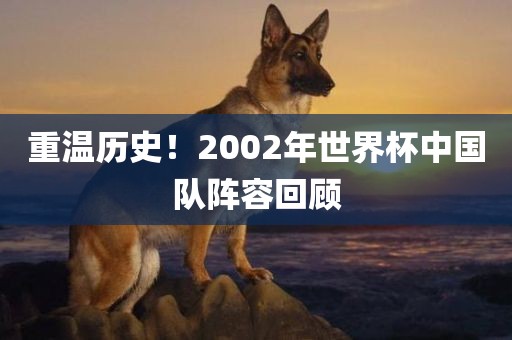 重温历史！2002年世界杯中国队阵容回顾