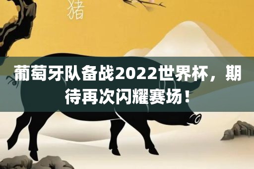 葡萄牙队备战2022世界杯，期待再次闪耀赛场！江门市永晋源无纺布有限公司