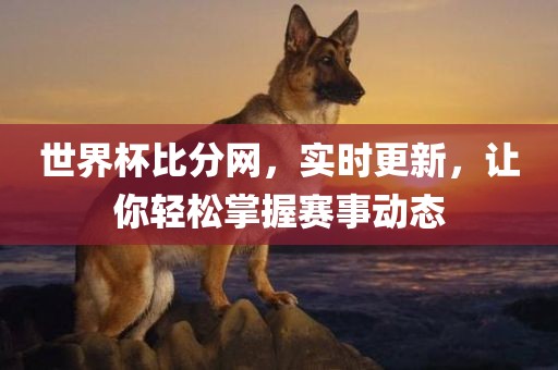 世界杯比分网，实时更新，让你轻松掌握赛事动态