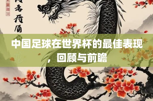 中国足球 第3页