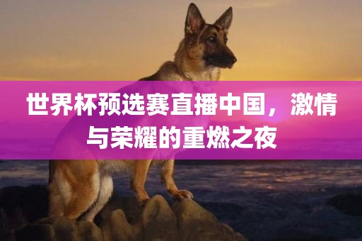 世界杯预选赛直播中国，激情与荣耀的重燃之夜