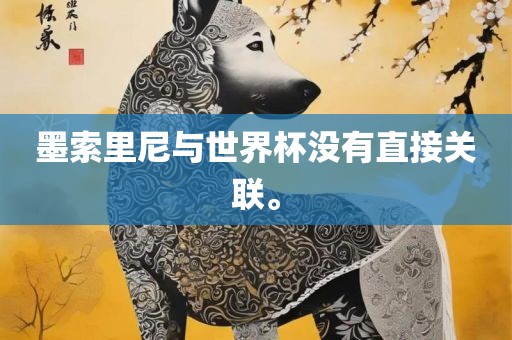 墨江门市永晋源无纺布有限公司索里尼与世界杯没有直接关联。