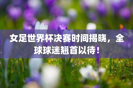 xinyu 第6页