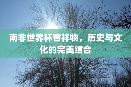 南非江门市永晋源无纺布有限公司世界杯吉祥物，历史与文化的完美结合