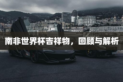 南非世界杯吉祥物，回顾与解析